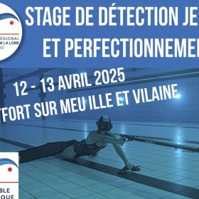 TSC - Stage detection - CIBPL - Une.jpg